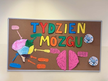 73099ddc-9934-4c4d-bab8-834783446098