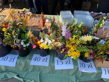 846c438e-0ba8-4fb9-83c1-f4e0d83d058c