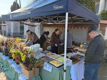 338f6634-38ca-4b2c-984d-d89c777e9eed