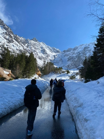 6b86c5d9-cd2d-43d9-9ca9-47f45efcc216