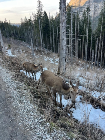 9b16bb45-558c-4a0f-bd4c-666d5b15a7b2