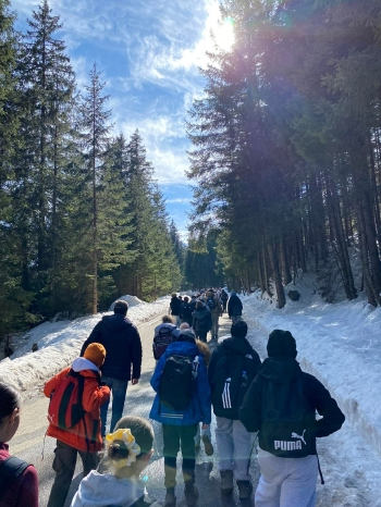 8a9e33e7-ed06-4316-baba-c2a25c680cc6