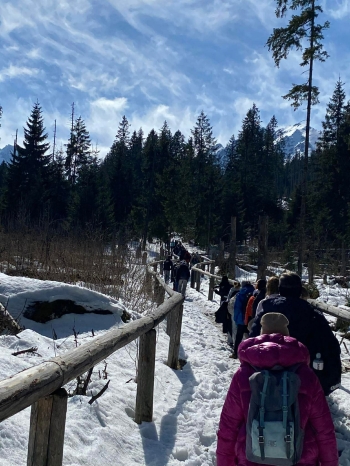 b8b3ca33-5fbe-4f56-9671-b85c8e2e9e64