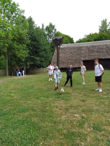 95665585-662d-4391-a7a7-774cc034efba.jpeg