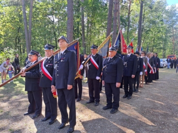 2d06b6e2-3125-44fb-a007-fb78eda34613.jfif