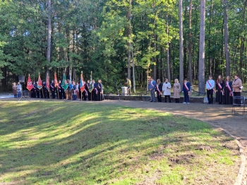 ad409ffc-6438-490b-b01c-65f20ca6fcaf.jfif