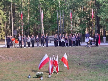 cc747d4a-e7a2-4e04-8ec4-00ce76c95e0b.jfif