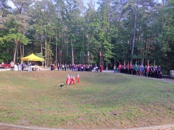 8fc2fe55-5999-4664-a6d2-15002e4dd16a.jfif