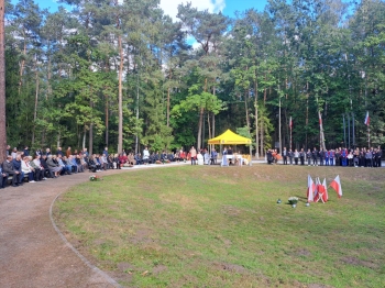 85e575ef-d4f6-4aa2-ba9a-c97df93d129a.jfif