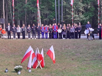 973fb728-7981-439d-83f4-96e4b3891cf8.jfif