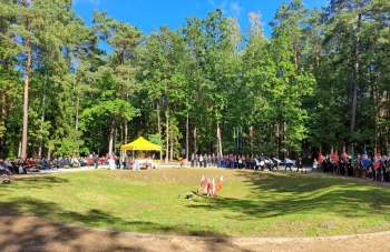 a9174b3d-2143-4942-9d4f-1f79e0cfd2ac.jfif