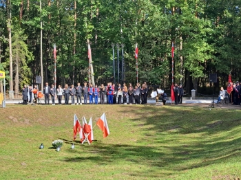 82192c3a-600e-4d34-8432-f22887e2a197.jfif