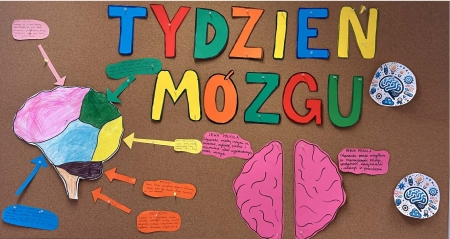 Tydzień mózgu