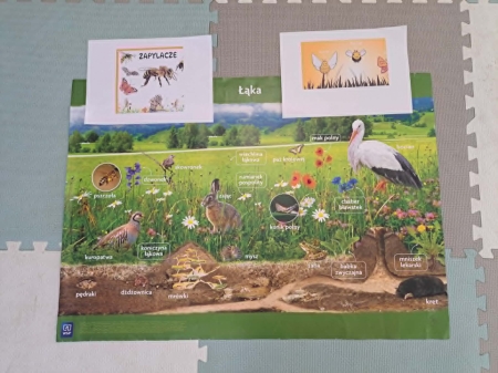 Projekt – ZasiejMy Naturę